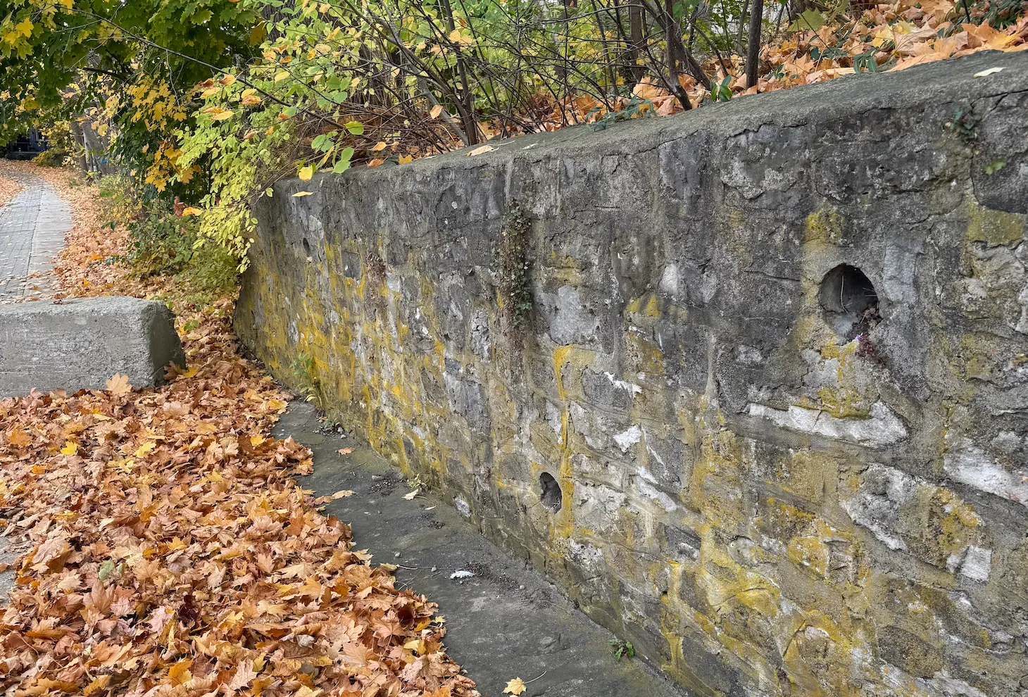 Blair Rd Retaining Wall - Existing Conditions